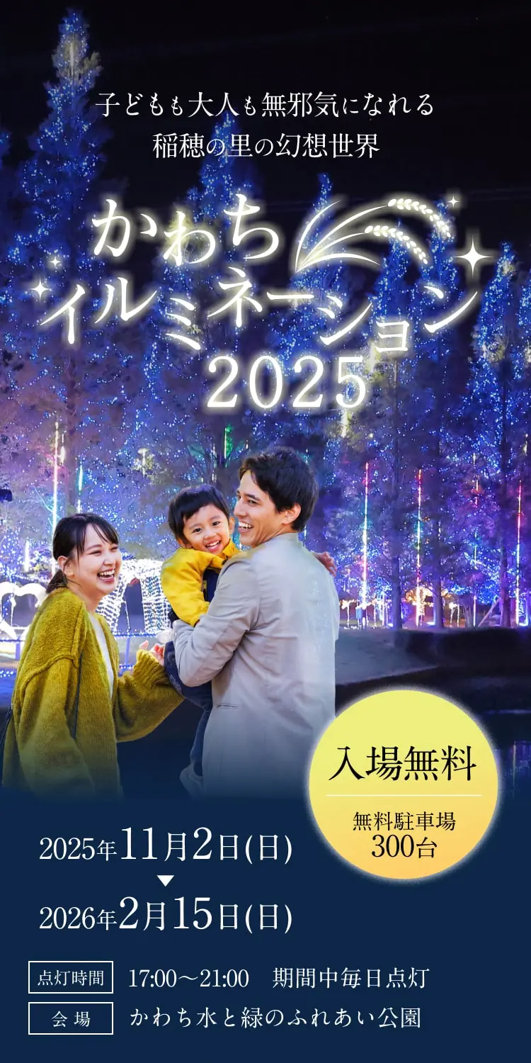 かわちイルミネーション2025