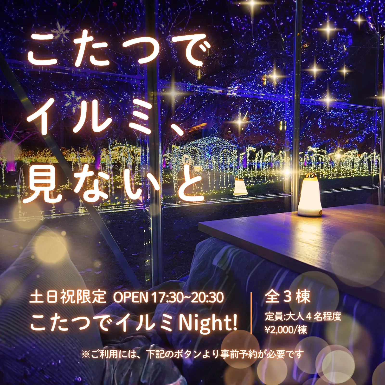土日祝限定 こたつでイルミナイト 下記ボタンよりご予約ください