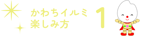 楽しみ方その1