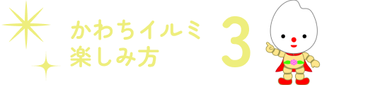 楽しみ方その3