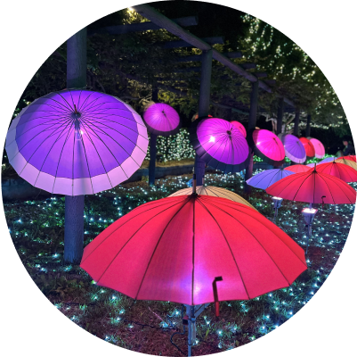 夏エリアイメージ