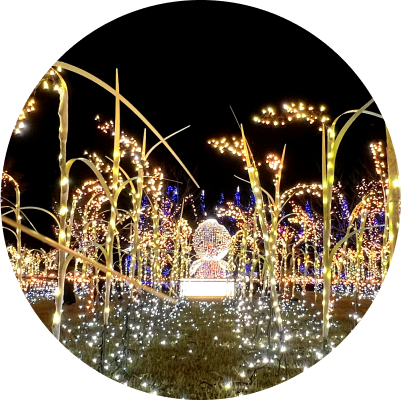 秋エリアイメージ