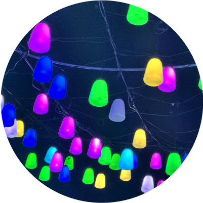 秋エリアイメージ