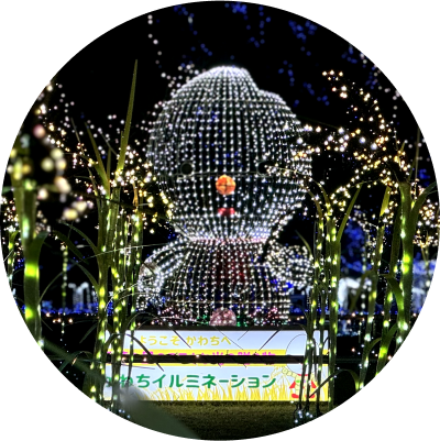 秋エリアイメージ